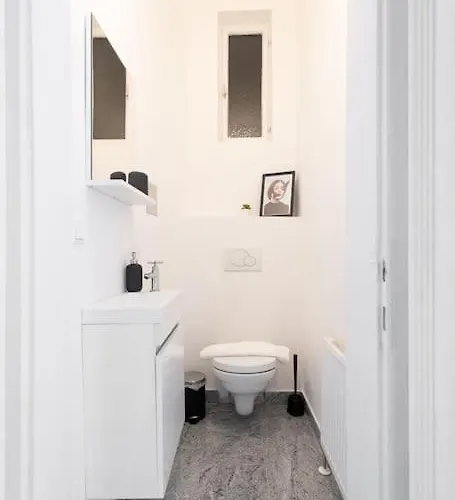 Franz 23 - Typical Viennese In The Heart Of Apartamento Viena